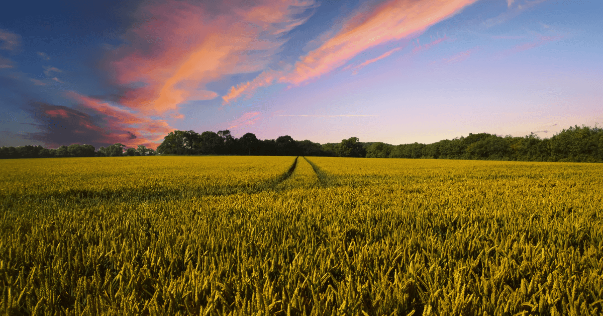 Featured Image for Farming Songs
